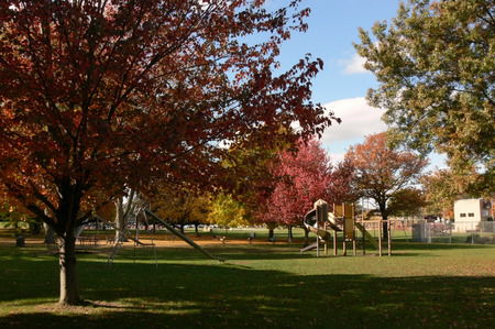 Country Inn & Suites By Radisson, Stockton, Il Bagian luar foto